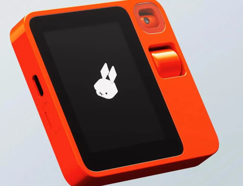 rabbit (1)